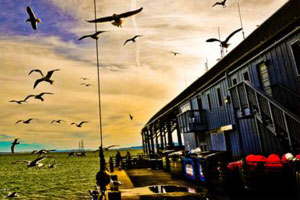 手机攻击器APP下载