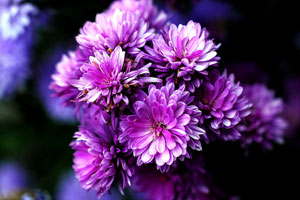 特惠促销的DDOS攻击教程